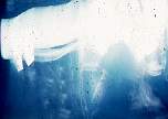 Ice Worm.jpg